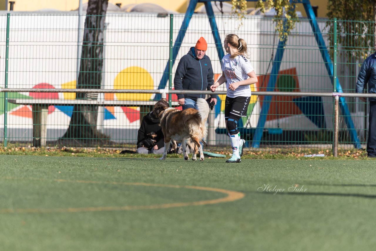 Bild 207 - Frauen SV Henstedt Ulzburg III - TSV Wiemersdorf : Ergebnis: 2:1